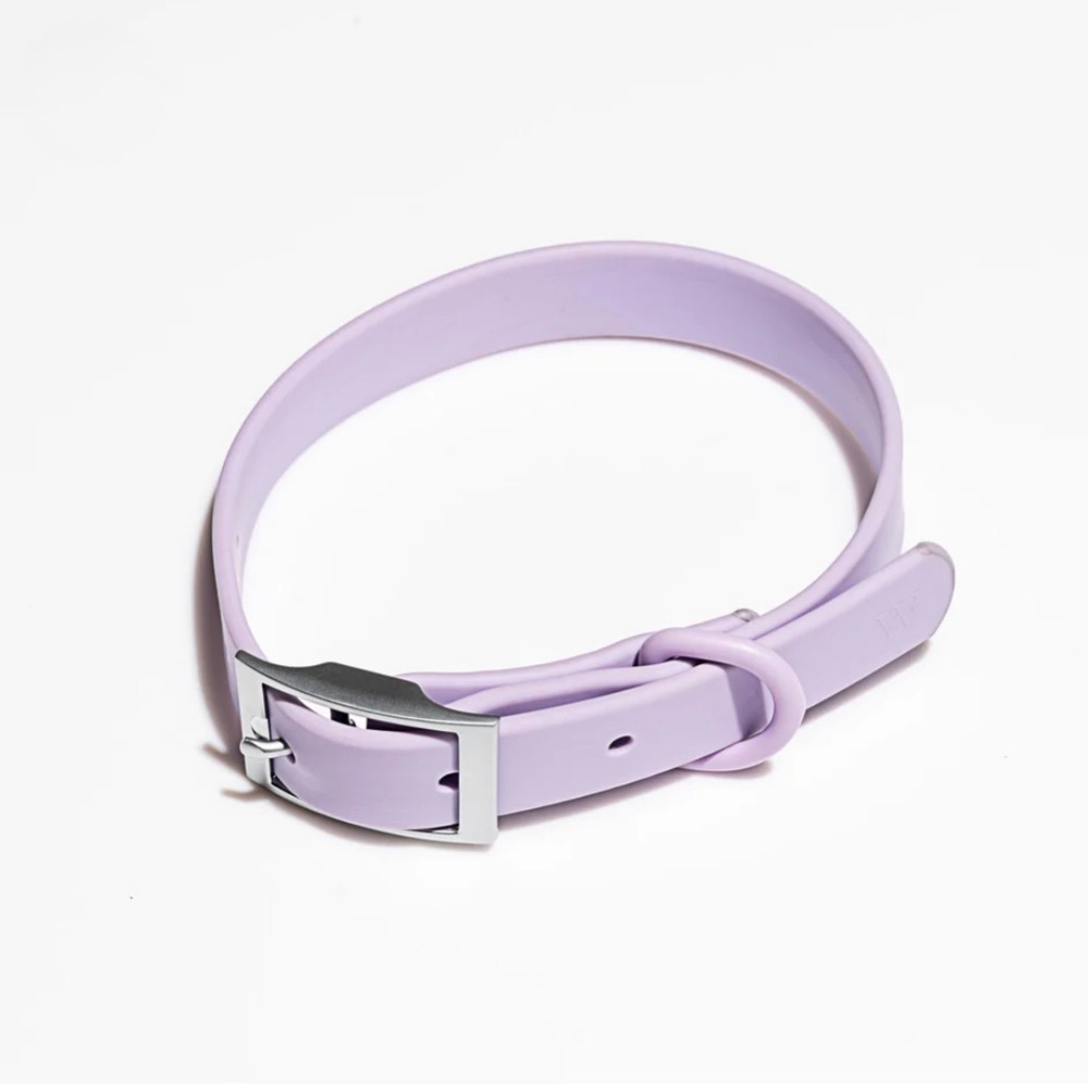 Wild One Collar - Lilac - XS (7"-10")